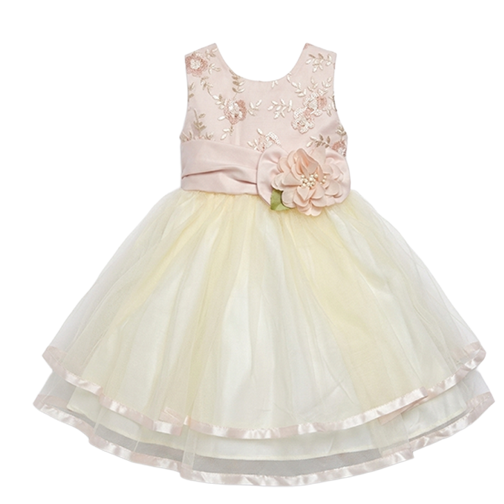 Rare editions Girl Dress 24M #11053