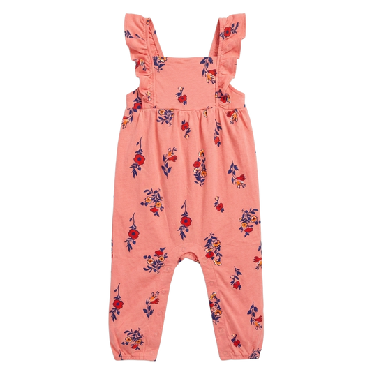 Carter’s Baby Girl Overall 18M #32038