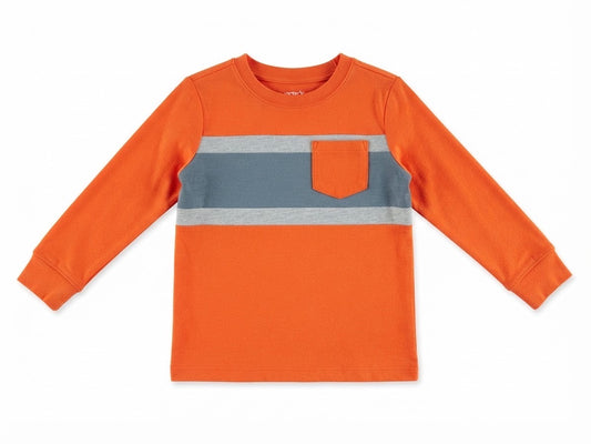 Carter's boy shirt 3t years